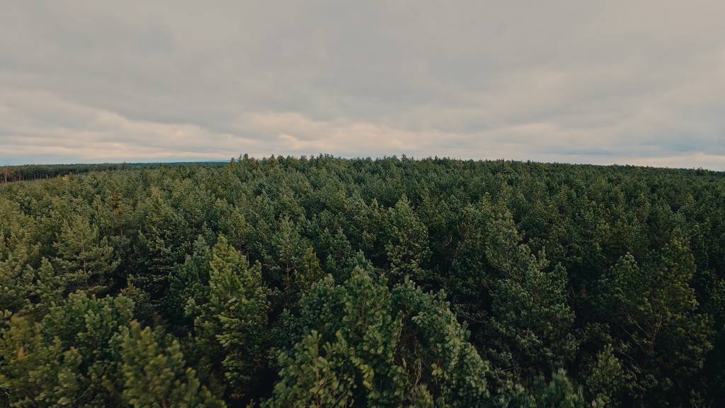 Still 2026-02-19 135104_1.1.1