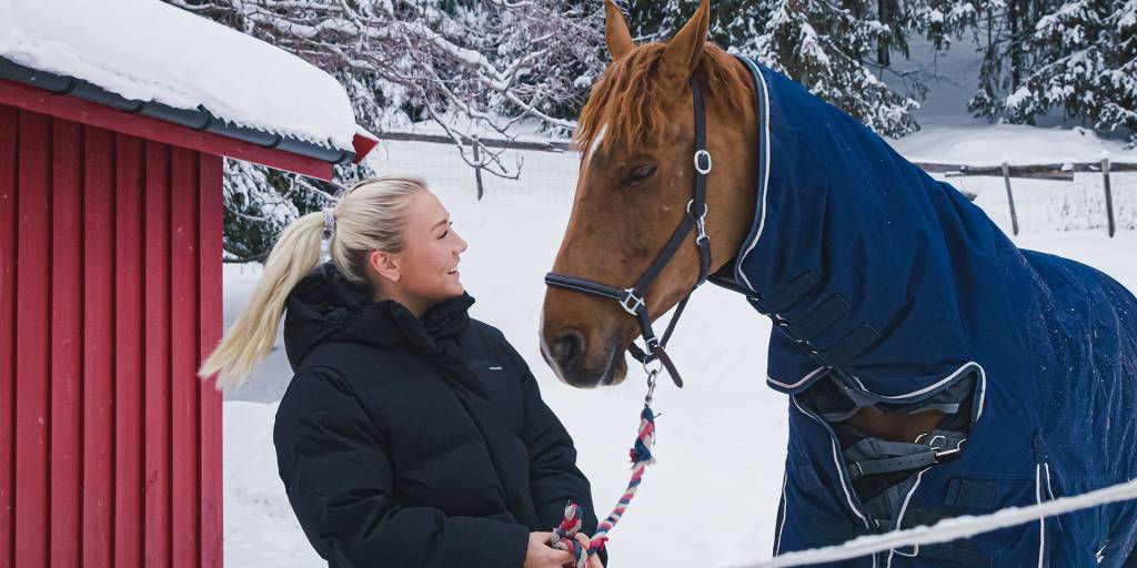 marte-m-hest-still001-1920