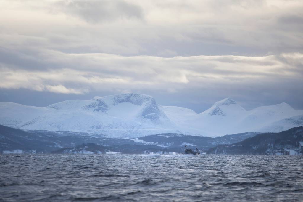 Sør- Troms sjøheimevernsområde har i løpet av øvelse Heimdall i HV-16 testet ut forhåndsrekvirerte fartøy med innleide båter. / Sør- Troms Home Guard under exercise Heimdall in HV-16, Norway.  
