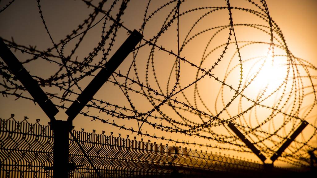 Piggtrådgjerde i solnedgang i South Camp i MFO. / Barbed wire fence in the sunset in South Camp in the MFO.