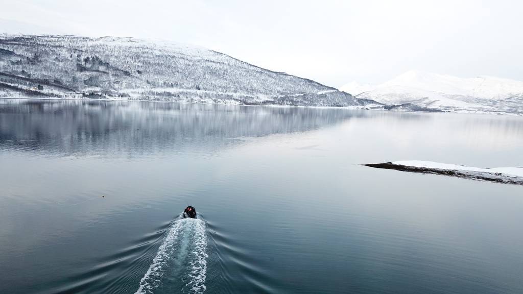 Øvelse Arctic Specialst avholdes årlig i Ramsund. Norske, amerikanske og danske styrker trener NMCM, EOD, IEDD, CWE, og dykking.