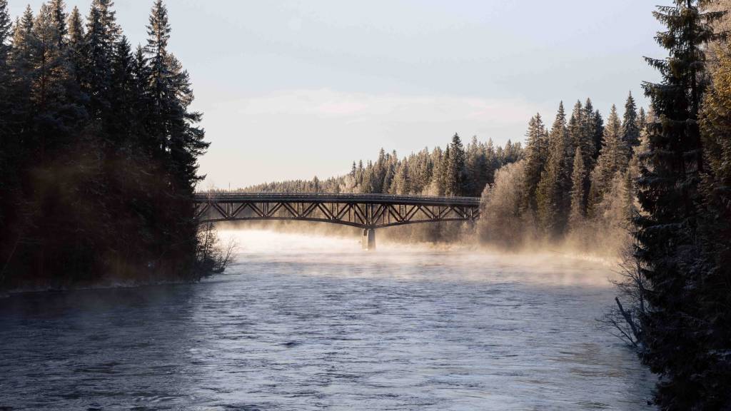 20251119- HS (52 av 65)