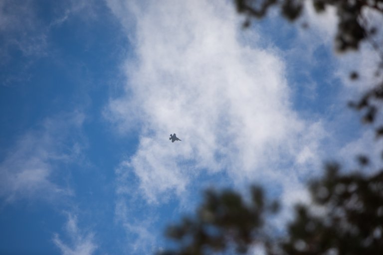 20220215FR_-3808.jpg