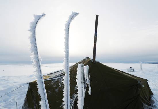 Ski med rim frost tilhørende elever ved Hærens befalsskole under en vinterøvelse på Trysilfjellet / Ski with frost, belonging to students at Norwegian Army non commissioned officer school during a winter exercise at Trysilfjellet in Norway
