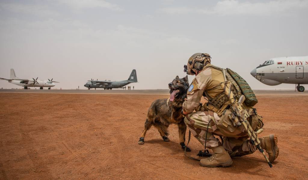 Personell fra Air Mobile Protection Team i NORTAD II i FN operasjoenen MINUSMA, holder vakt med hund ved et norsk C-130J Hercules på oppdrag i Gao i Mali.