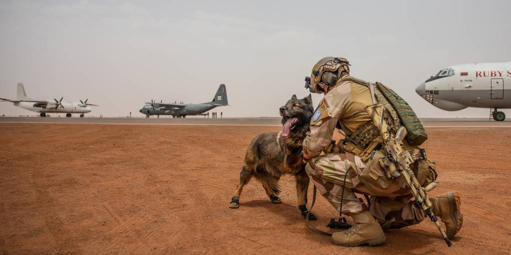 Personell fra Air Mobile Protection Team i NORTAD II i FN operasjoenen MINUSMA, holder vakt med hund ved et norsk C-130J Hercules på oppdrag i Gao i Mali.