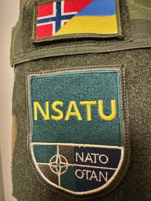 NSATU Patch.jpg
