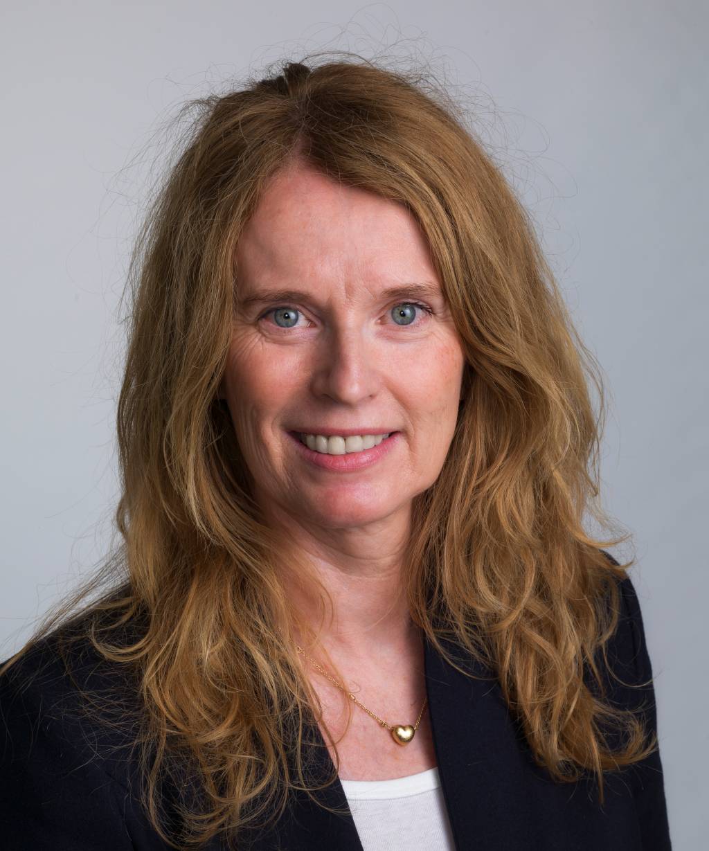 Holmøy, Rønnhaug_Førstelektor_3