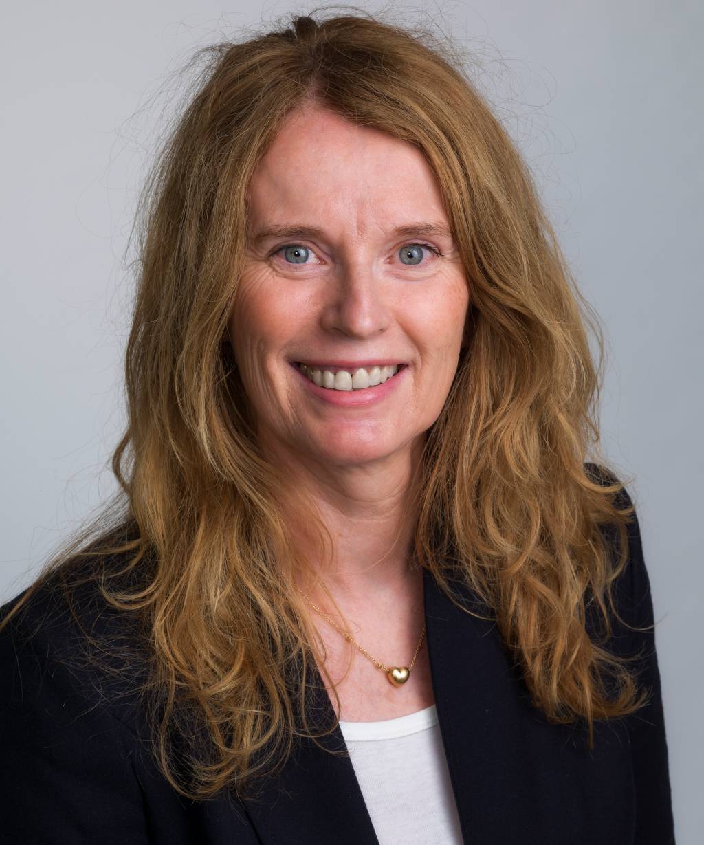 Holmo, Rønnhaug_Førstelektor_1 (1)