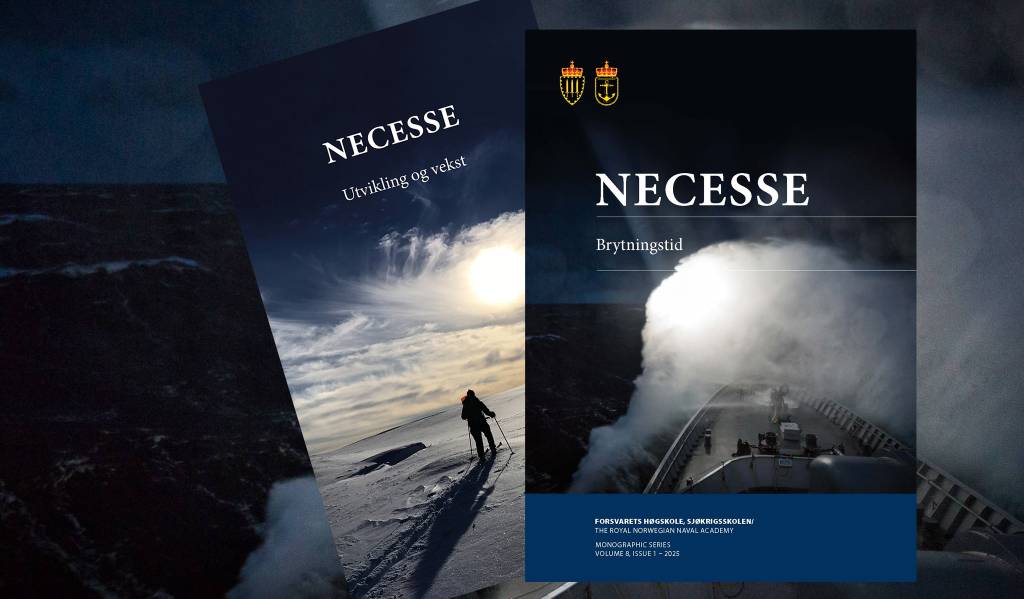 Necesse_forsidebilde_hjemmeside