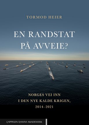 En randstat på avveie.jpg