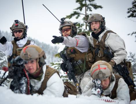 4.Gardekompani under øvelsen YMER