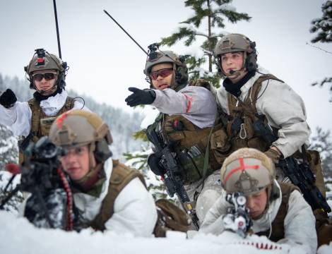 4.Gardekompani under øvelsen YMER