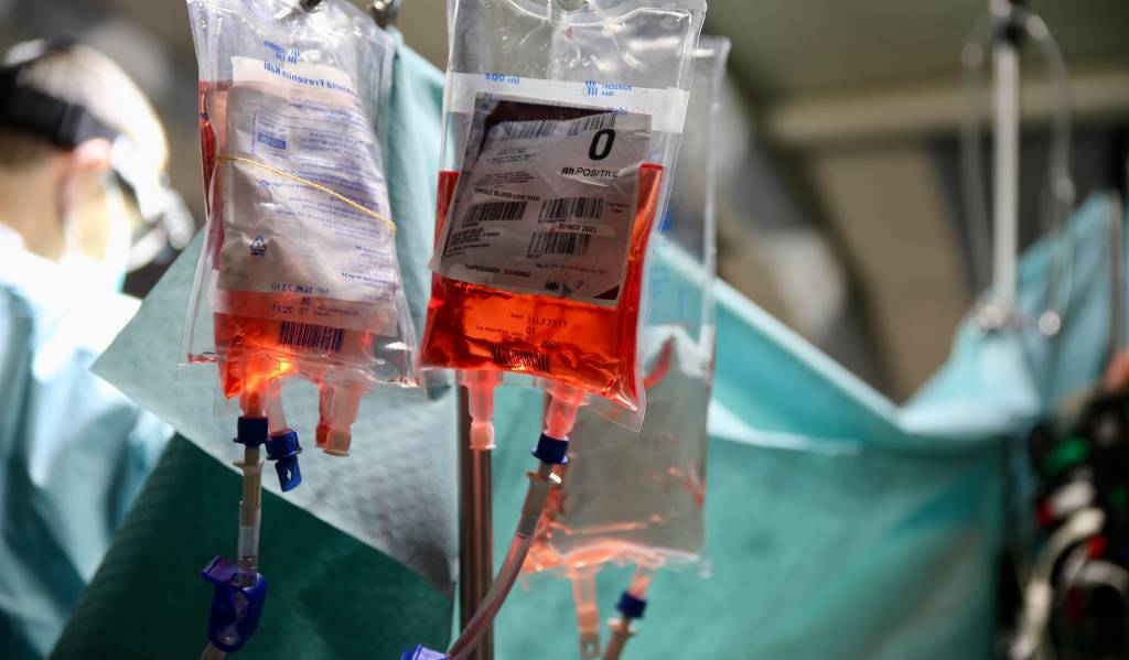 Forsvarets sanitet gjennomfør trening av styrkestruktur under øvelse Føniks 2021 ved bruk av Role 2 Basic feltsykehus. Exercise Føniks 2021 at Sessvollmoen.