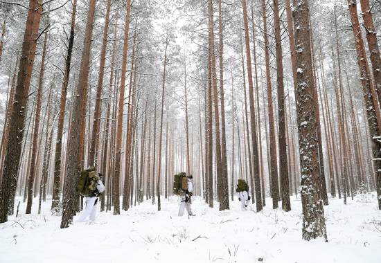 Feltoperatører fra Fjernoppklaringseskadronen i den norske Hæren trener under NATO oppdraget enhanced Forward Presence (eFP) i Litauen / Field Operators from the Long-Range Reconnaissance Patrol LRRP) trains during NATO's enhanced Forward Presence (eFP) mission in Lithuania