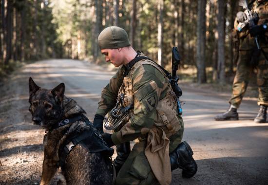 Hundeførere fra Garnisonen i Sør-Varanger under opplæring på Rygge.