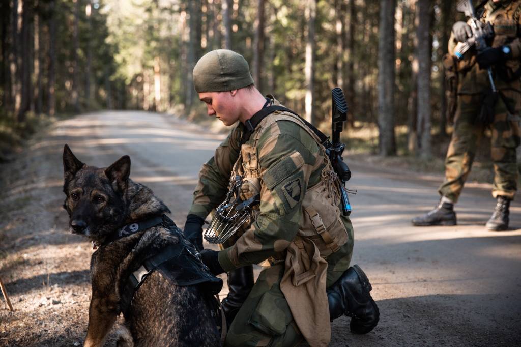 Hundeførere fra Garnisonen i Sør-Varanger under opplæring på Rygge.
