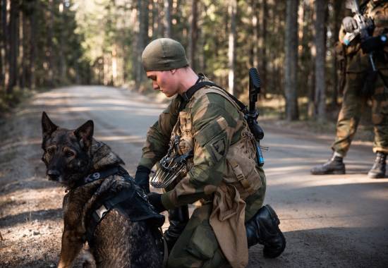 Hundeførere fra Garnisonen i Sør-Varanger under opplæring på Rygge.