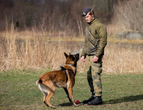 Hundefører trener med hunden sin.