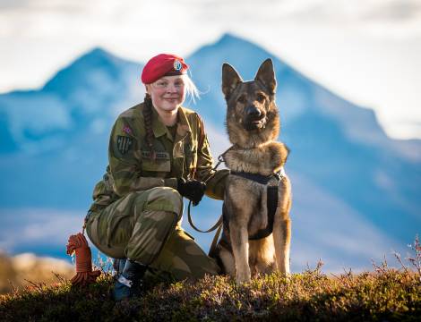 Fra utdanning av tjenestehund og hundefører hos Militærpolitikompaniet i Brigade Nord. // Brigade North's Military Police Company conducts basic K9 training.