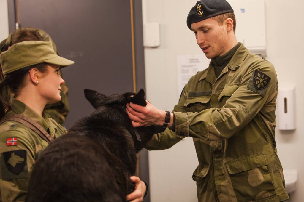 Forsvarets hundeskole på Hauerseter leir ved Sessvollmoen // The Norwegian Armed Forces' Dog-School at camp Hauerseter, Sessvollmoen
