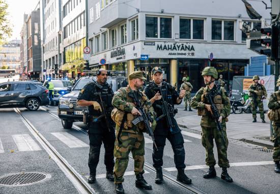 Politiet og soldater fra Sogn heimevernsområde i Oslo og Akershus heimevernsdistrikt 02 øver sammen på pågripelse og sikring av området i forbindelse med øvelse Hovedstad. 