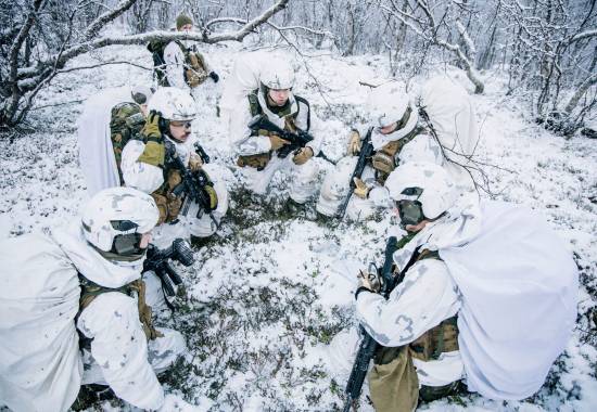 Heimevernet lagfører