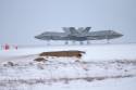 To Norske F-35A kampfly takser på Keflavik flyplass når Luftforsvaret løser NATO oppdraget Iceland Air Policing