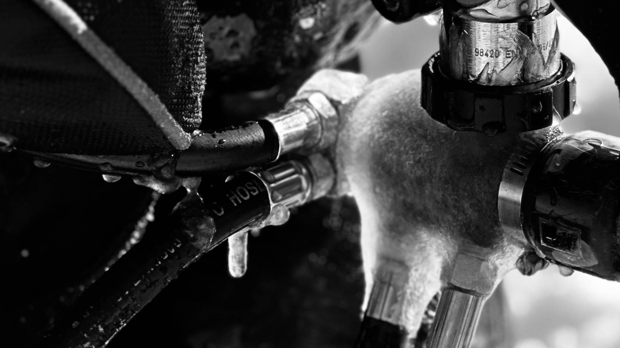 Er du en sånn som oss? Forsvaret