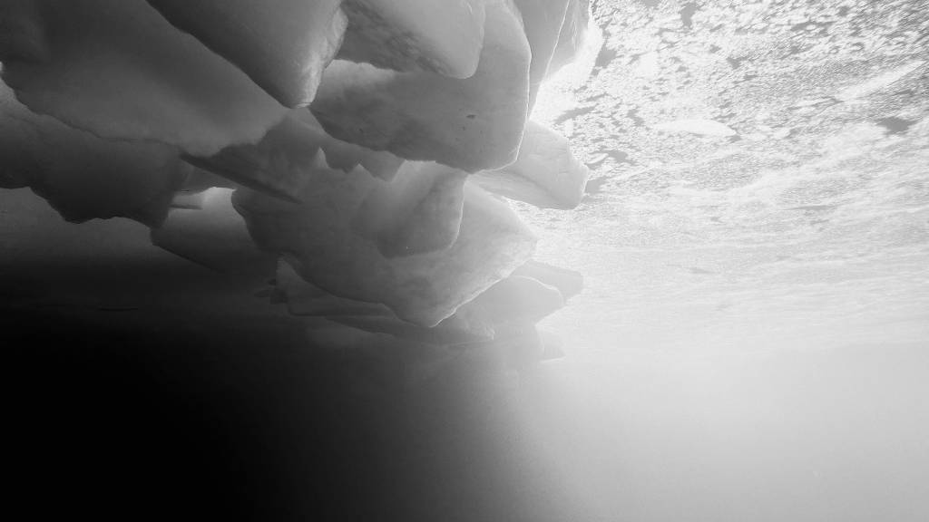 SportDiver_20240329_142619