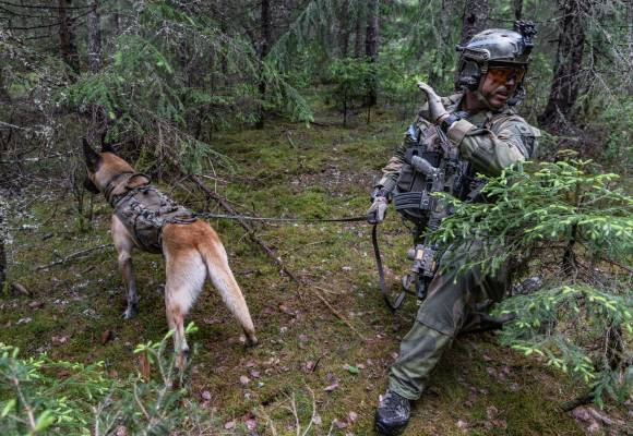 Militærpolitiets øvelse Blind Gudinne 24