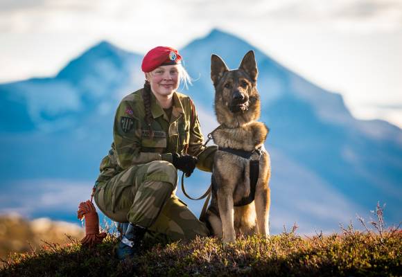 Fra utdanning av tjenestehund og hundefører hos Militærpolitikompaniet i Brigade Nord. // Brigade North's Military Police Company conducts basic K9 training.