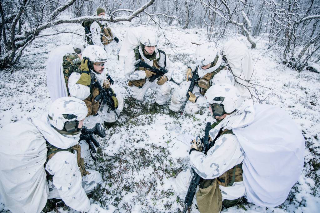 Heimevernet lagfører