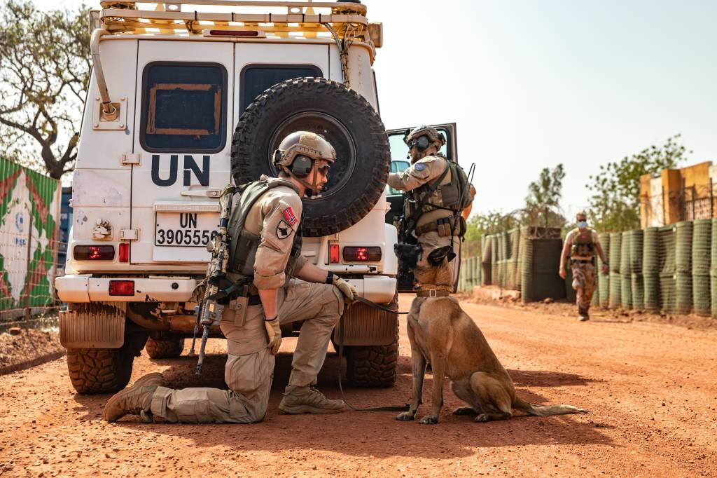 Øvelse, hundefører planlegger hvordan fjernesøk av kjøretøy etter eksplosiver skal gjennomføres. *** Local Caption *** Exercise, dog handler plans how to search vehicle for explosives.