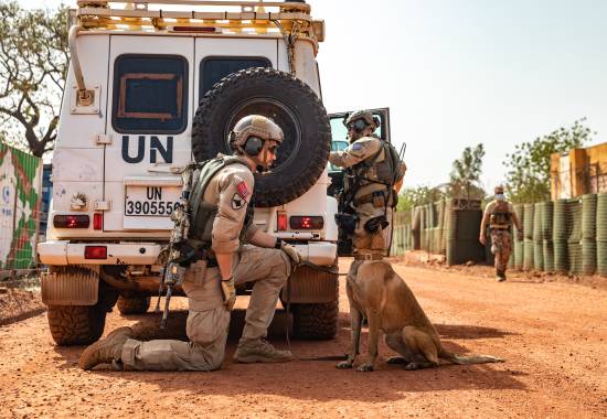 Øvelse, hundefører planlegger hvordan fjernesøk av kjøretøy etter eksplosiver skal gjennomføres. *** Local Caption *** Exercise, dog handler plans how to search vehicle for explosives.