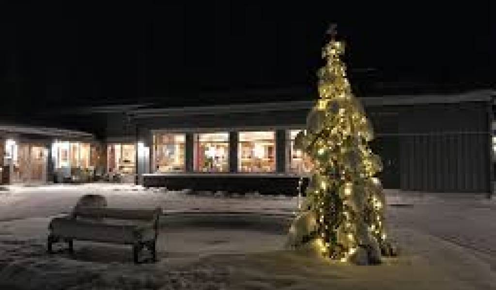 fvsjul